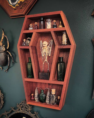 Coffin Crystal Shelf