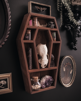 Coffin Crystal Shelf