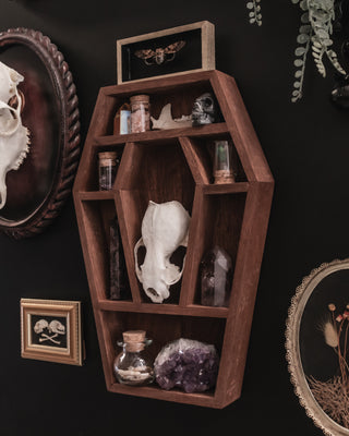 Coffin Crystal Shelf